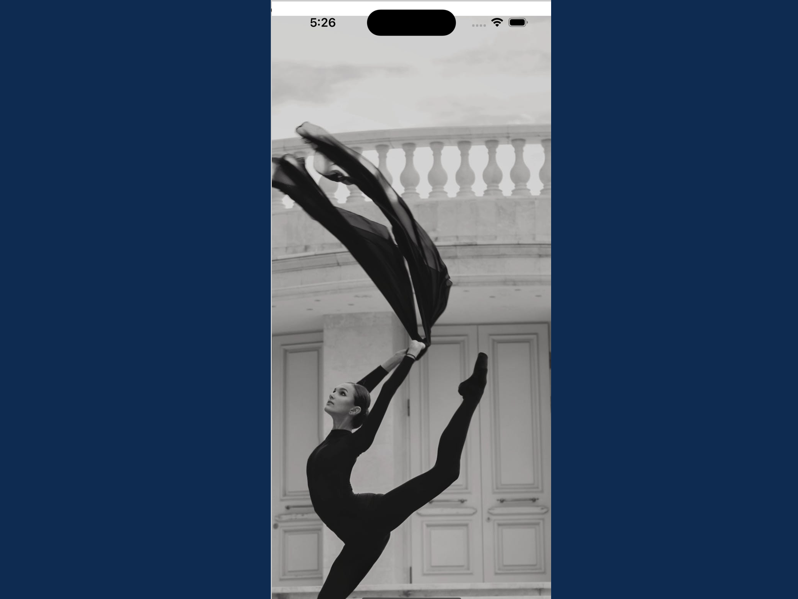 Image Zoom - Screen-Thumbnail